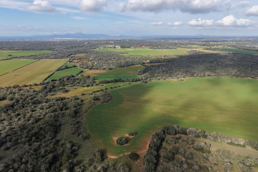 Außergewöhnliches Grundstück