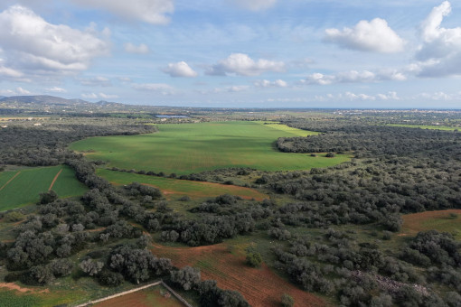 Grundstück vor Santanyi