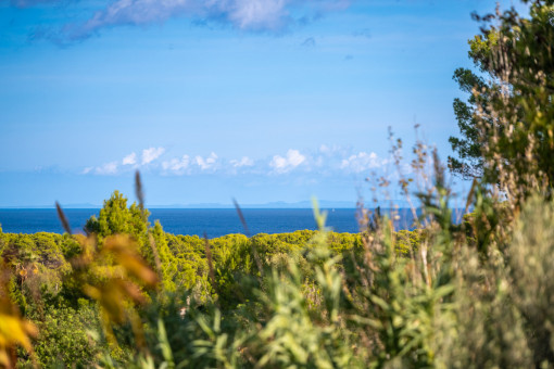 Terrasse mit direktem Meerblick