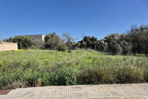 Zwei ruhig gelegene urbane Baugrundstücke in Ses Salines