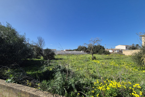 Zwei ruhig gelegene urbane Baugrundstücke in Ses Salines