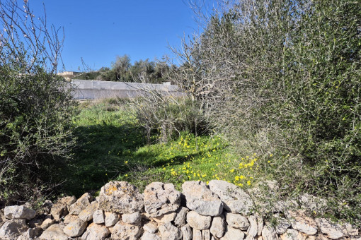 Grundstück in gepflegter Umgebung