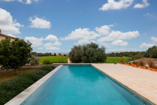 Pool mit wunderschöner Aussicht ins Grüne 