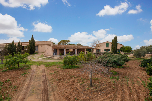 Gepflegter Garten mit mediterranen Obstbäumen 