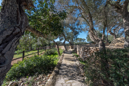 Gartenanlage mit schönem Baumwuchs