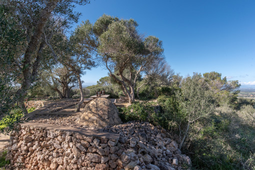 Attraktive Gartengestaltung 