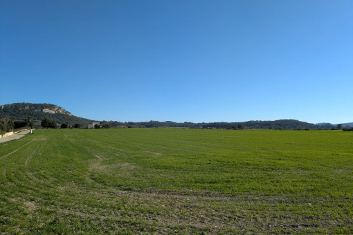 Grosses ruhig gelegenes Baugrundstück bei Sineu