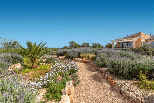 Schöner mediterraner Garten