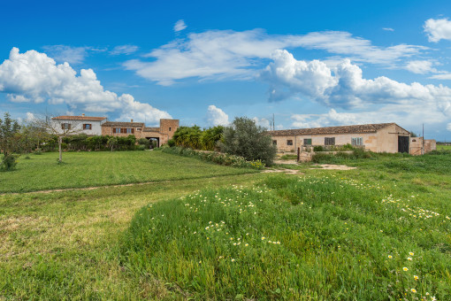 Über 30.000 qm Grundstück