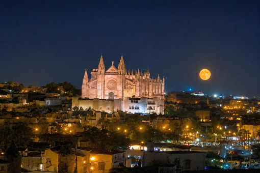 Exklusiver Ausblick auf Palma und die Kathedrale bei Nacht