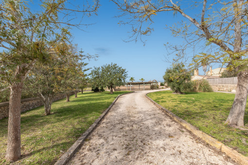 Zufahrt durch den Garten 