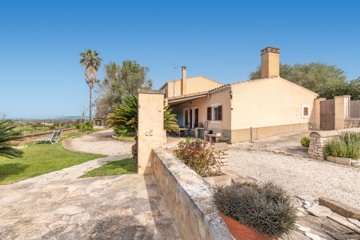 Außenbereich zwischen Pool und Haus