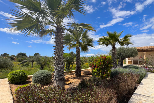 Finca Llucmajor Garten