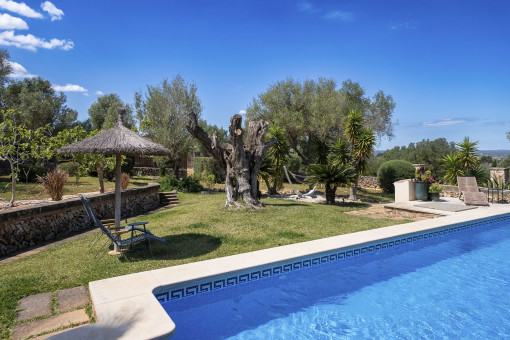 Schöner gepflegter Garten