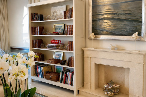 Bibliothek mit Kamin
