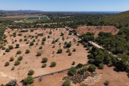 Panorama Weitblick