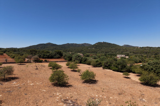 Rundum Panorama