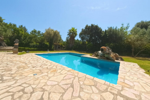 Privater Pool mit Steinterrasse