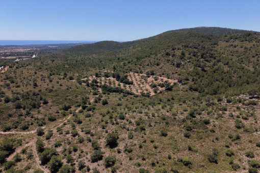 Meerblick zur Bucht von Cala Mandia