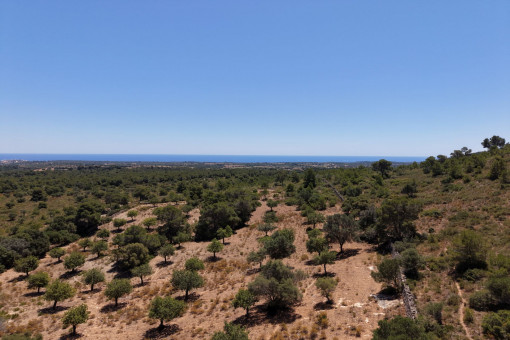 Traumhafte Lage mit Panoramablick