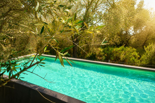 Privater Außenbereich mit Pool