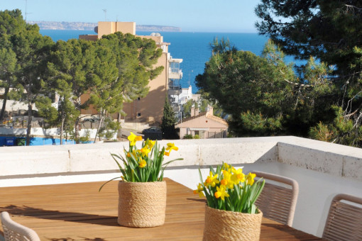 Leben auf Mallorca