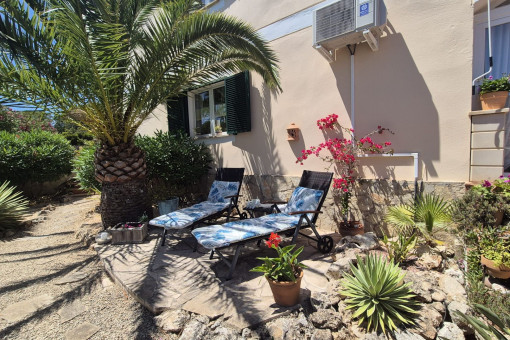 Terrasse mit Liegen unter Palmen