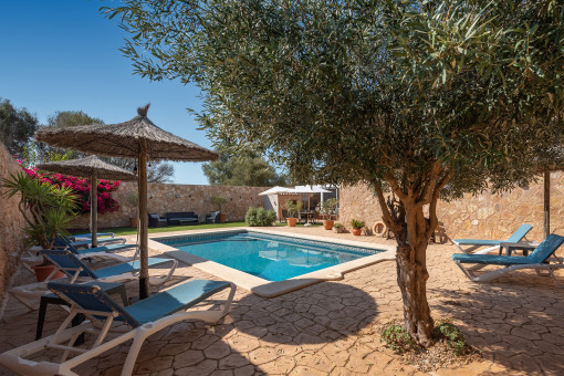 Garten und Pool