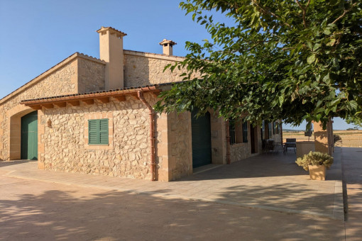 Finca 