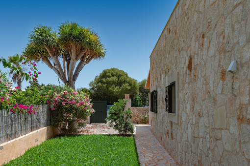 Garten rund um das Haus, im Hintergrund die Einfahrt und der Stellplatz