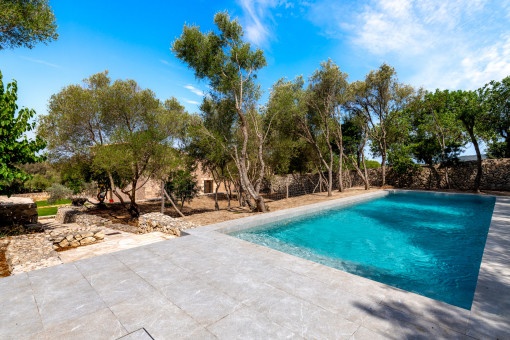 Pool mit Terrasse 