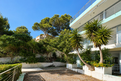 Terrasse 