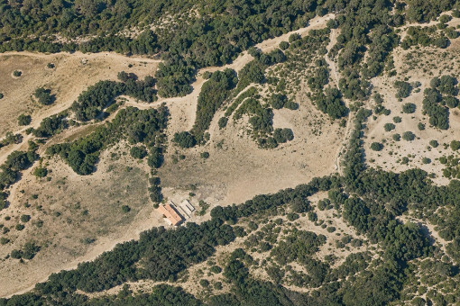 Vogelperspektive der Finca und des Grundstücks