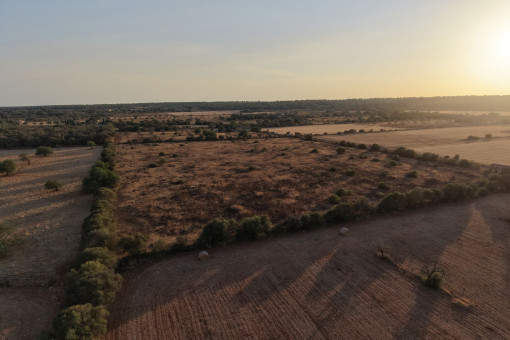 Luftaufnahme des rechteckigen Grundstücks mit Blick Richtung Westen