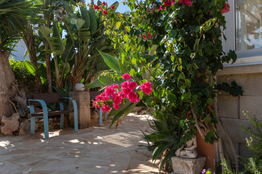Garten rund ums Haus