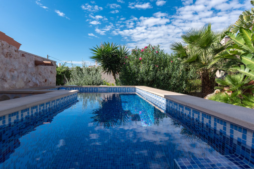 Pool im Hintergarten