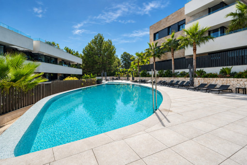 Gemeinschaftspool und Sonnenterrasse 