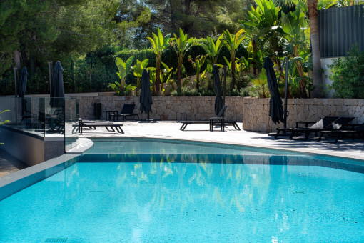 Pool mit mediterranem Garten