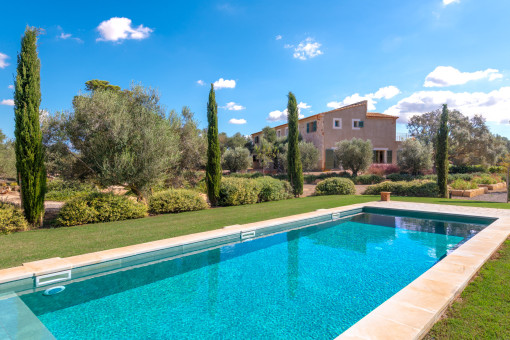 Traumhafter Pool