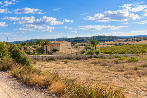 Weitblick über die mallorquinische Landschaft