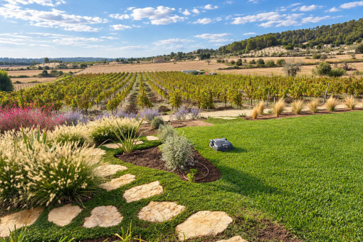 Gepflegter Garten mit Blick auf die Weinreben