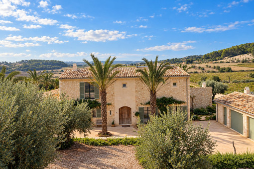 Mediterraner Innenhof mit Palmen
