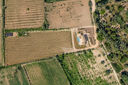Luftaufnahme der Finca und ihres Weinbergs