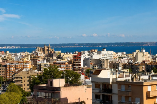 Panoramablick über Palma und auf die Kathedrale