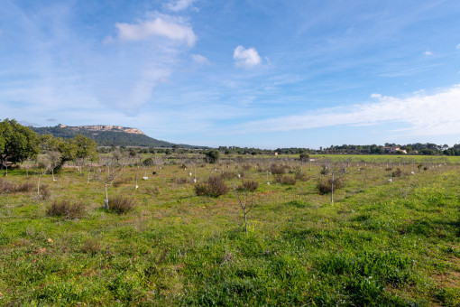 |finca-felanitx-mallorca-mieten (37).jpg