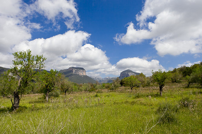 Parque Natural Alaró