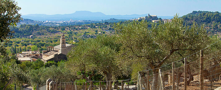 Caimari Mallorca