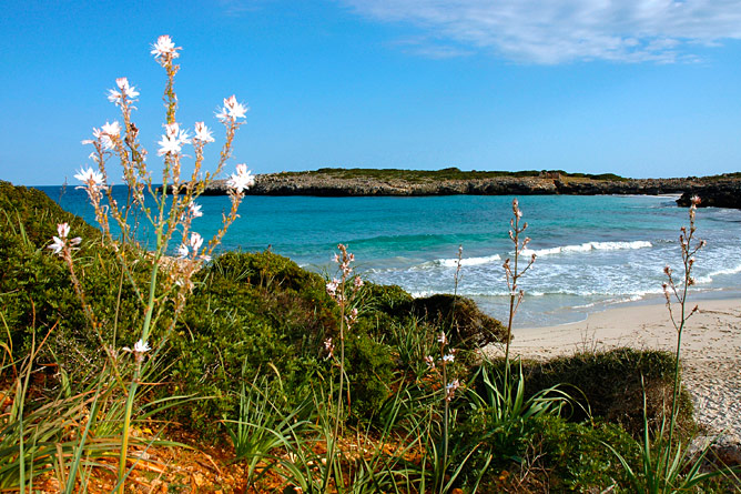 Strand Cales de Mallorca