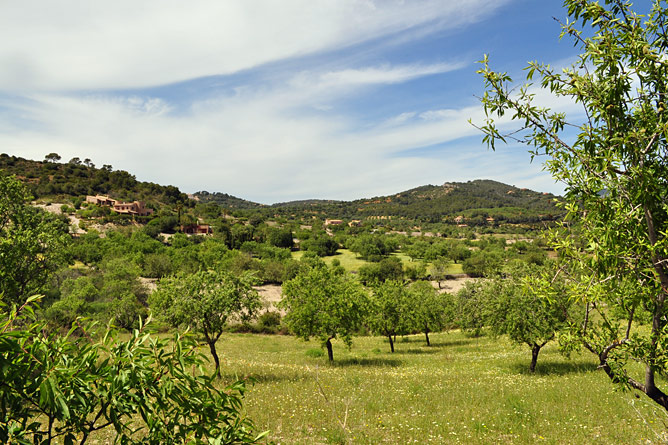 Tierra fértil alrededor de Felanitx